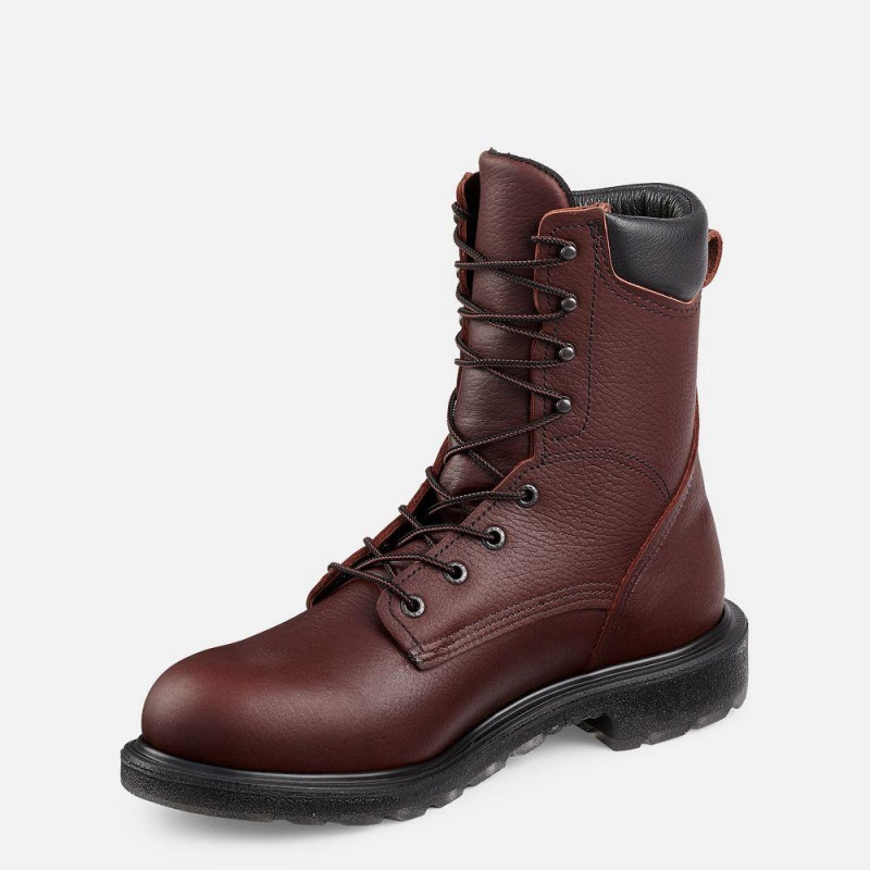 Red Wing SuperSole® 2.0 8-inch Turva Varvas Miesten Teräskärkiset Saappaat Viininpunainen | 5716HBWQR